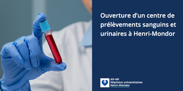 vignette-internet-maquette